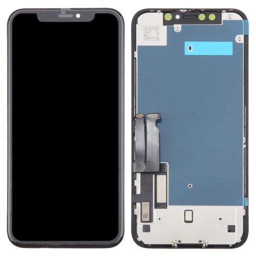 IPXR0176_1.jpg