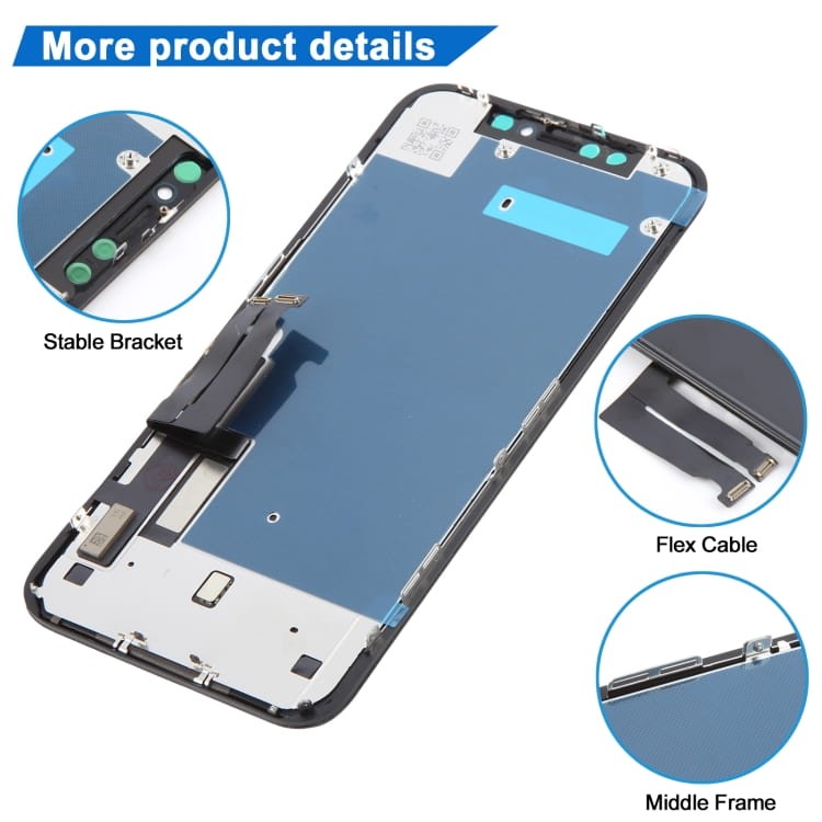 IPXR0176_2.jpg